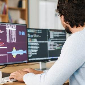 Python Back-end Developer