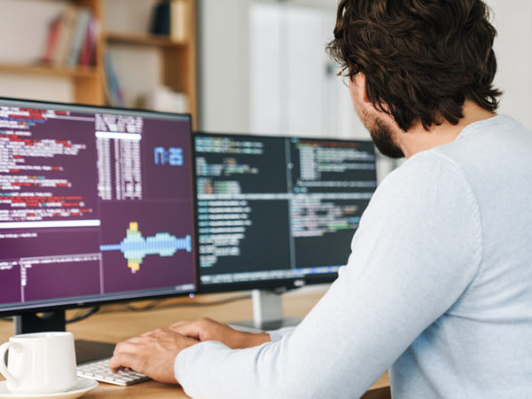 Python Back-end Developer
