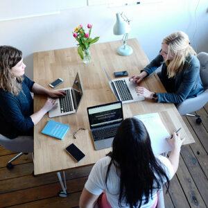 Strategic Direction, Planning and Management: An Introduction